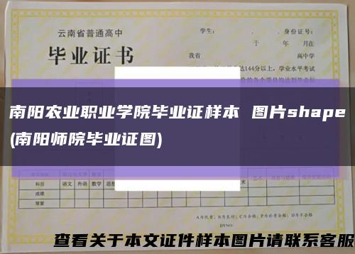 南阳农业职业学院毕业证样本 图片shape(南阳师院毕业证图)缩略图