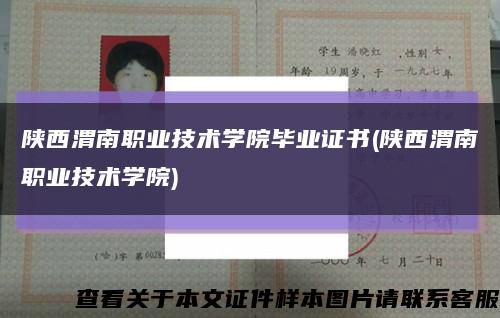 陕西渭南职业技术学院毕业证书(陕西渭南职业技术学院)缩略图