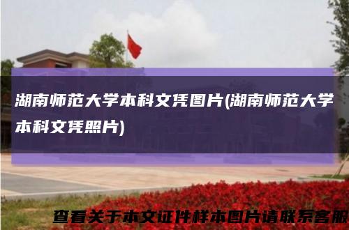 湖南师范大学本科文凭图片(湖南师范大学本科文凭照片)缩略图