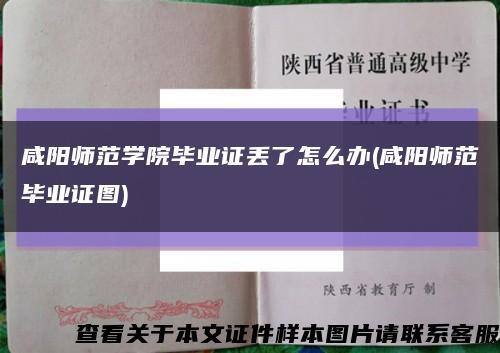 咸阳师范学院毕业证丢了怎么办(咸阳师范毕业证图)缩略图