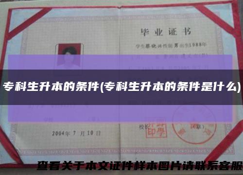 专科生升本的条件(专科生升本的条件是什么)缩略图