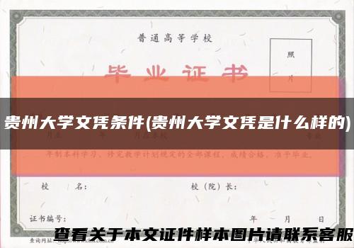 贵州大学文凭条件(贵州大学文凭是什么样的)缩略图