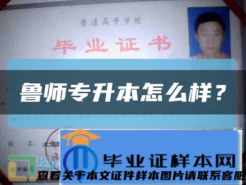 鲁师专升本怎么样？缩略图