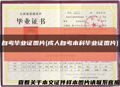 自考毕业证图片(成人自考本科毕业证图片)缩略图