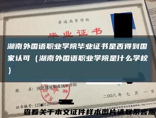 湖南外国语职业学院毕业证书是否得到国家认可（湖南外国语职业学院是什么学校）缩略图