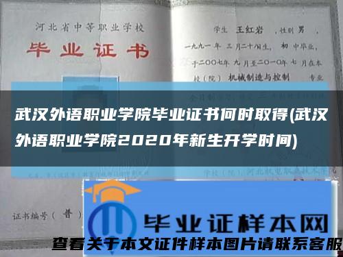 武汉外语职业学院毕业证书何时取得(武汉外语职业学院2020年新生开学时间)缩略图
