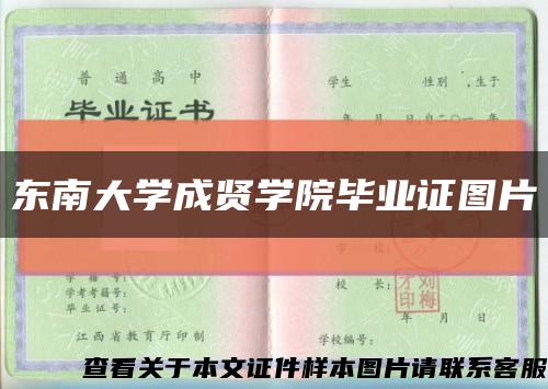 东南大学成贤学院毕业证图片缩略图