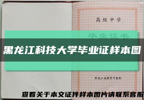 黑龙江科技大学毕业证样本图缩略图
