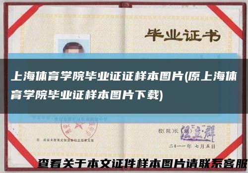 上海体育学院毕业证证样本图片(原上海体育学院毕业证样本图片下载)缩略图