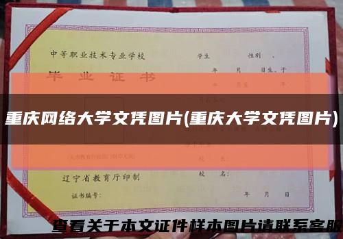 重庆网络大学文凭图片(重庆大学文凭图片)缩略图