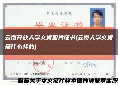 云南开放大学文凭图片证书(云南大学文凭是什么样的)缩略图