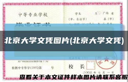 北京大学文凭图片(北京大学文凭)缩略图