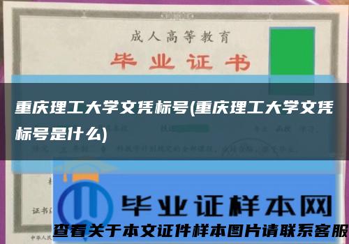 重庆理工大学文凭标号(重庆理工大学文凭标号是什么)缩略图