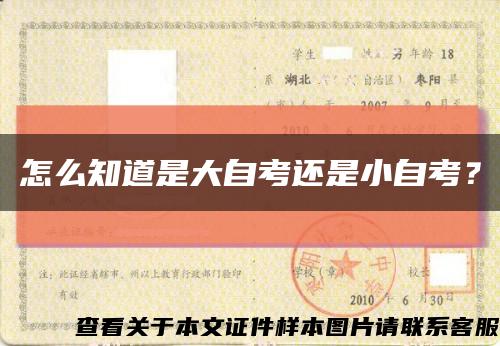 怎么知道是大自考还是小自考？缩略图