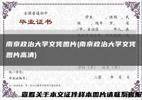 南京政治大学文凭图片(南京政治大学文凭图片高清)缩略图
