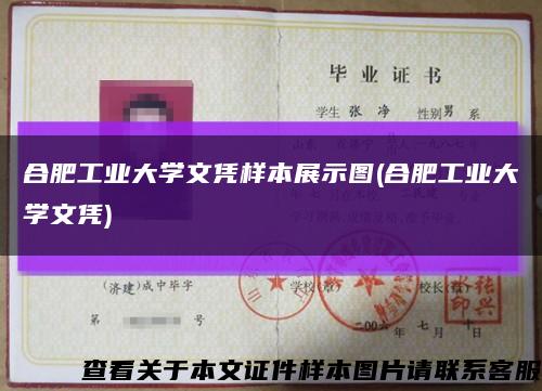 合肥工业大学文凭样本展示图(合肥工业大学文凭)缩略图