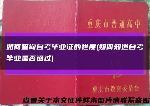 如何查询自考毕业证的进度(如何知道自考毕业是否通过)缩略图