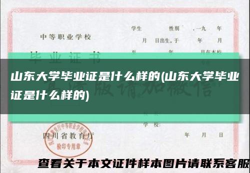 山东大学毕业证是什么样的(山东大学毕业证是什么样的)缩略图