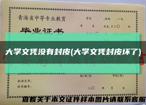 大学文凭没有封皮(大学文凭封皮坏了)缩略图