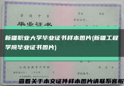 新疆职业大学毕业证书样本图片(新疆工程学院毕业证书图片)缩略图