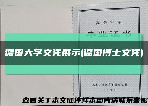德国大学文凭展示(德国博士文凭)缩略图