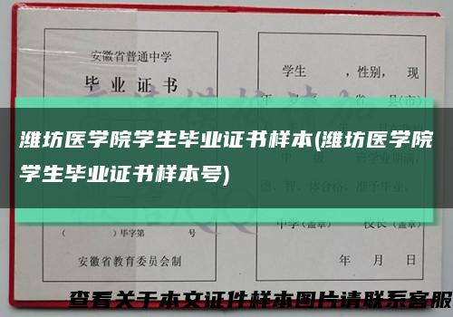 潍坊医学院学生毕业证书样本(潍坊医学院学生毕业证书样本号)缩略图
