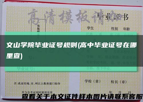 文山学院毕业证号规则(高中毕业证号在哪里查)缩略图