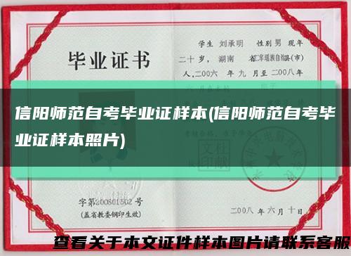信阳师范自考毕业证样本(信阳师范自考毕业证样本照片)缩略图