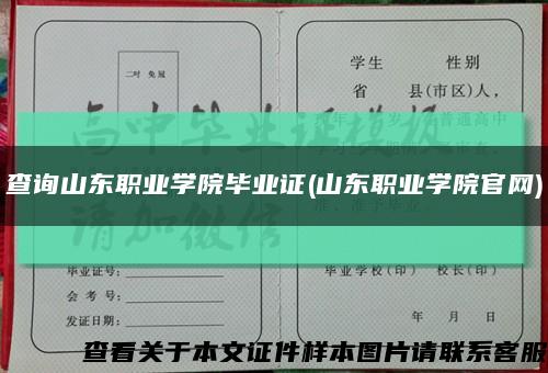 查询山东职业学院毕业证(山东职业学院官网)缩略图