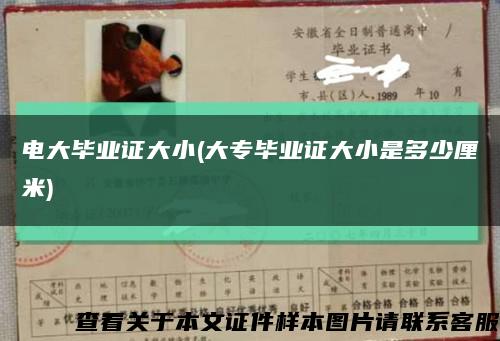 电大毕业证大小(大专毕业证大小是多少厘米)缩略图