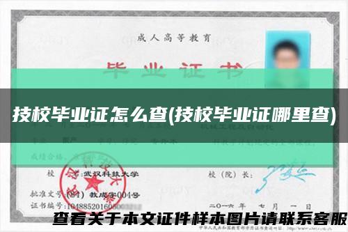 技校毕业证怎么查(技校毕业证哪里查)缩略图
