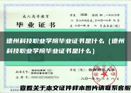 德州科技职业学院毕业证书是什么（德州科技职业学院毕业证书是什么）缩略图