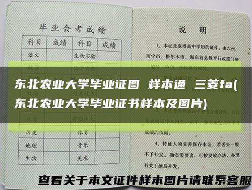 东北农业大学毕业证图 样本通 三菱fa(东北农业大学毕业证书样本及图片)缩略图