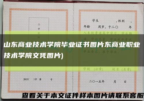 山东商业技术学院毕业证书图片东商业职业技术学院文凭图片)缩略图