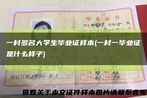 一村多名大学生毕业证样本(一村一毕业证是什么样子)缩略图