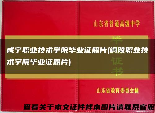 咸宁职业技术学院毕业证照片(铜陵职业技术学院毕业证照片)缩略图