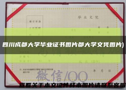 四川成都大学毕业证书图片都大学文凭图片)缩略图