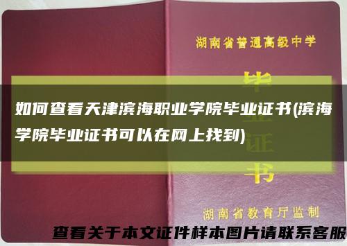 如何查看天津滨海职业学院毕业证书(滨海学院毕业证书可以在网上找到)缩略图