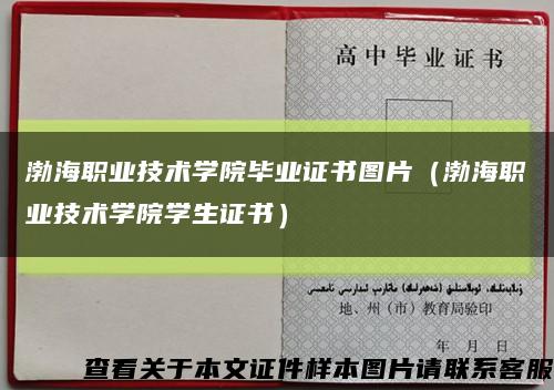 渤海职业技术学院毕业证书图片（渤海职业技术学院学生证书）缩略图