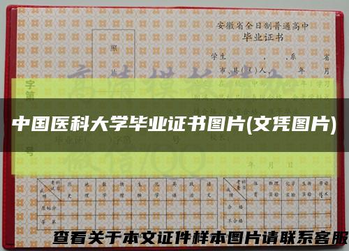 中国医科大学毕业证书图片(文凭图片)缩略图