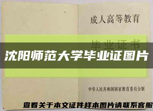 沈阳师范大学毕业证图片缩略图