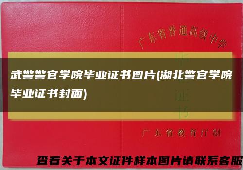 武警警官学院毕业证书图片(湖北警官学院毕业证书封面)缩略图