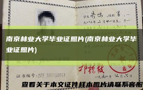 南京林业大学毕业证照片(南京林业大学毕业证照片)缩略图