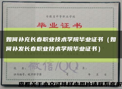 如何补充长春职业技术学院毕业证书（如何补发长春职业技术学院毕业证书）缩略图