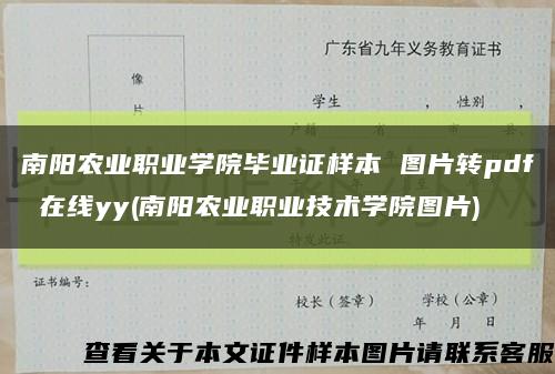 南阳农业职业学院毕业证样本 图片转pdf 在线yy(南阳农业职业技术学院图片)缩略图