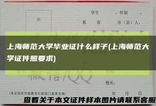 上海师范大学毕业证什么样子(上海师范大学证件照要求)缩略图