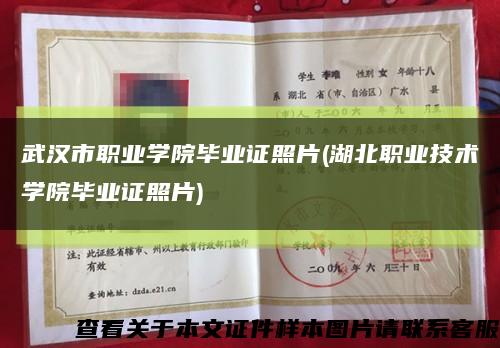 武汉市职业学院毕业证照片(湖北职业技术学院毕业证照片)缩略图