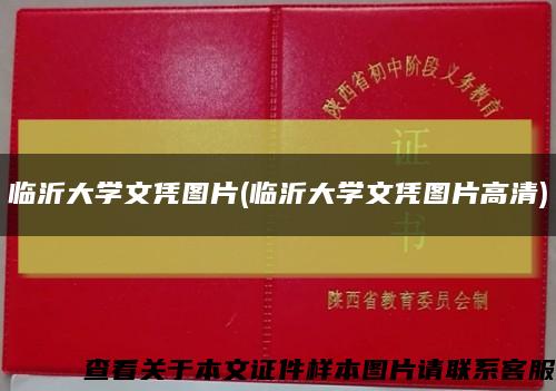 临沂大学文凭图片(临沂大学文凭图片高清)缩略图