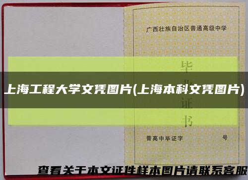 上海工程大学文凭图片(上海本科文凭图片)缩略图
