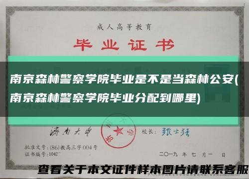 南京森林警察学院毕业是不是当森林公安(南京森林警察学院毕业分配到哪里)缩略图